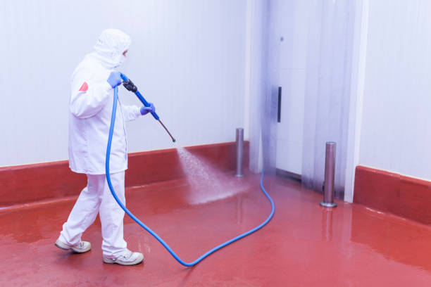 Best Building Exterior Washing  in Bayshore Gardens, FL